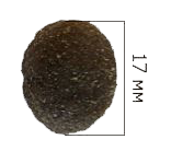 Cобаки Мясо.png